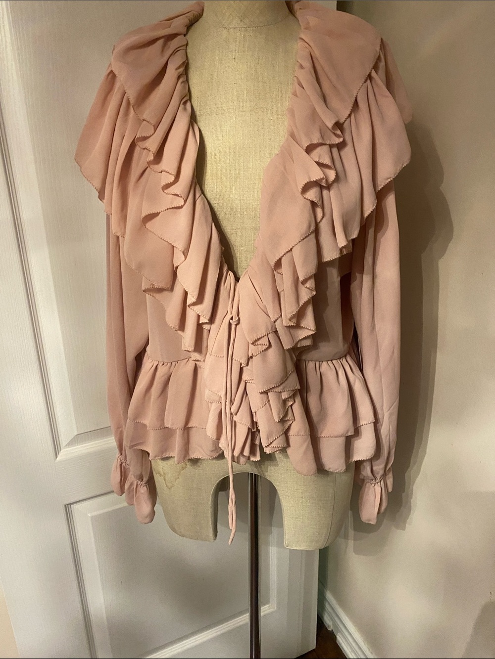 Torn by Ronny Kobo Blush Pink Ruffle-Trim Tie Front Blouse